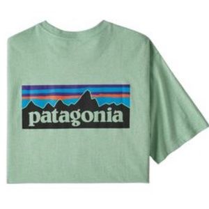 Mens Patagonia t shirt XS